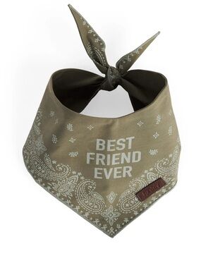 Reddy Bandana Style Pet Scarf "Best Friend Ever" - Olive